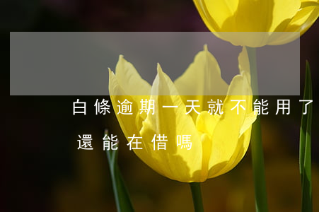 白條逾期一天就不能用了嗎（秒白條逾期一天還能在借嗎）