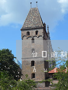 白條逾期一天征信(白條逾期一天征信上會(huì)顯示嗎)