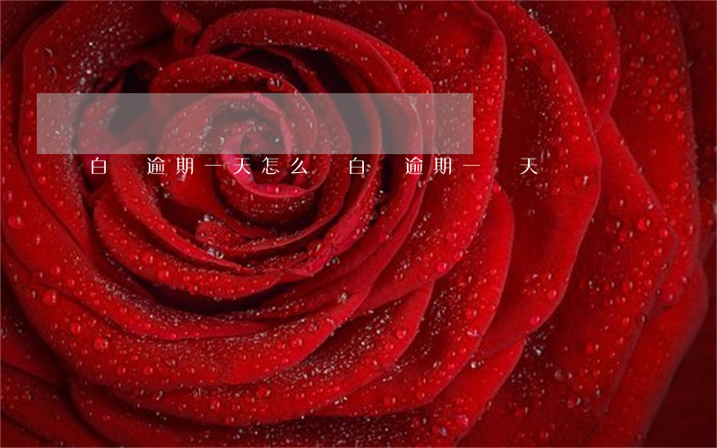 白條逾期一天怎么還(白條逾期一兩天)