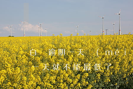 白條逾期一天沒(méi)有最低 白條逾期一天就不能最低了
