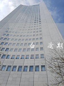 白條逾期一天的不良記錄怎么消除