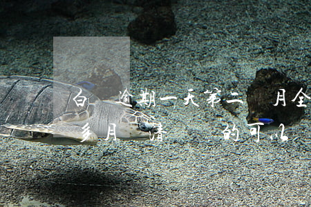白條逾期一天第二個月全部還(白條逾期一個多月 還清違約的可以嗎)