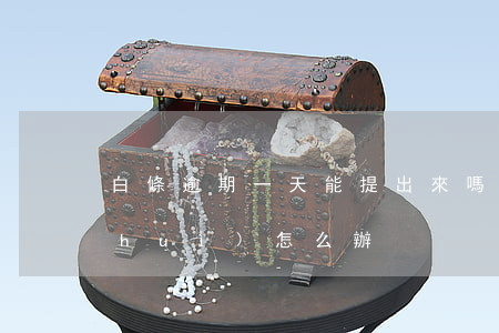 白條逾期一天能提出來嗎(白條逾期一天會(huì)怎么辦)
