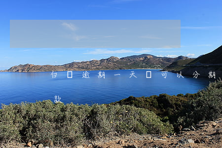 白條逾期一天還可以分期嗎(白條逾期一天還款)