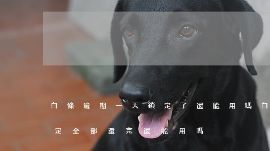 白條逾期一天鎖定了還能用嗎(白條逾期被鎖定全部還完還能用嗎)