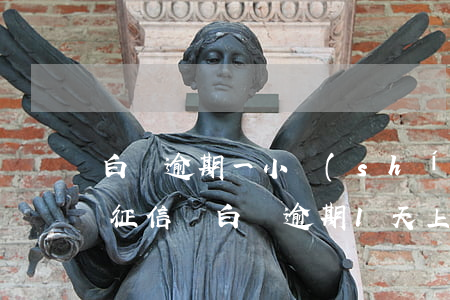 白條逾期一小時(shí)會(huì)上征信嗎 白條逾期1天上征信嗎