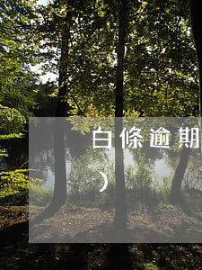 白條逾期一次付清 白條逾期1小時(shí)