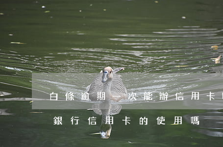 白條逾期一次能辦信用卡嗎(白條逾期會影響銀行信用卡的使用嗎)