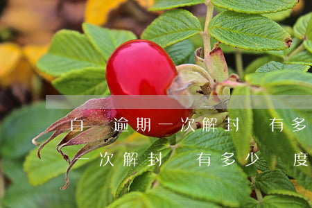 白條逾期一次解封還有多少額度-白條逾期一次解封還有多少額度啊