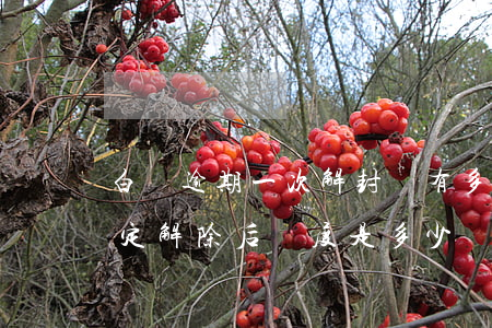 白條逾期一次解封還有多少額度(白條逾期鎖定解除后額度是多少)