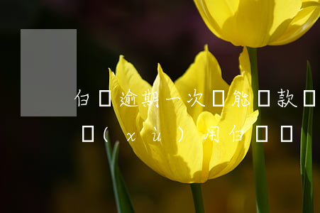 白條逾期一次還能貸款嗎(白條逾期了還能繼續(xù)用白條嗎)