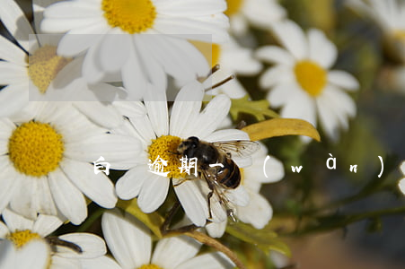 白條逾期一萬(wàn)元(白條逾期兩百塊)