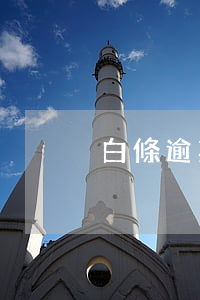 白條逾期一萬多會上門嗎（豬肉白條逾期上門）