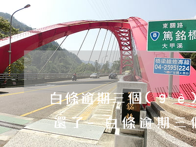 白條逾期三個(gè)月后按時(shí)還了-白條逾期三個(gè)月后按時(shí)還了