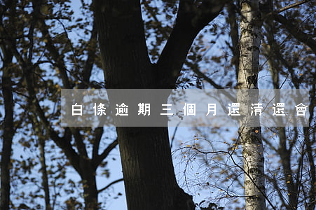 白條逾期三個月還清還會恢復嗎