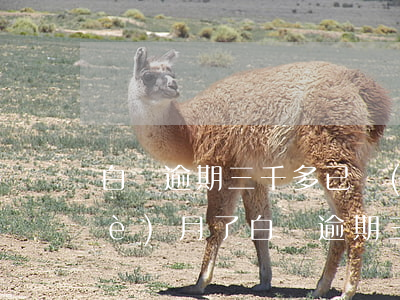 白條逾期三千多已經(jīng)三個(gè)月了(白條逾期三千多已經(jīng)三個(gè)月了)