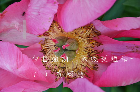 白條逾期三天收到短信-白條逾期沒(méi)有短信