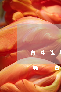 白條逾期上了征信還完了會(huì)消除嗎-白條逾期還款后征信