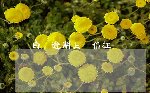 白條逾期上報信征