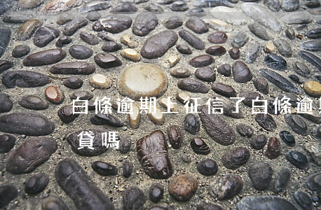 白條逾期上征信了 白條逾期上征信了還能房貸嗎
