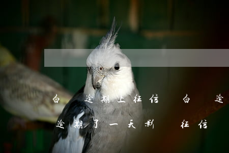 白條逾期上征信嗎?白條逾期有什么后果（白條逾期了一天影響征信嗎）