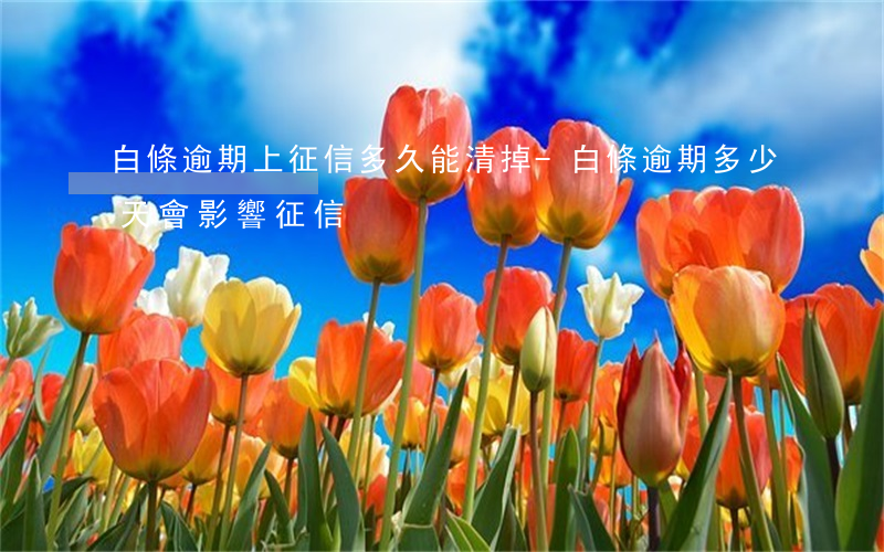 白條逾期上征信多久能清掉-白條逾期多少天會影響征信