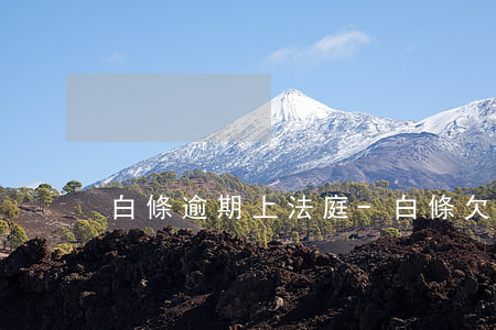白條逾期上法庭-白條欠多久才上法院