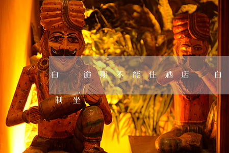 白條逾期不能住酒店嗎(白條逾期了多久會限制坐車)