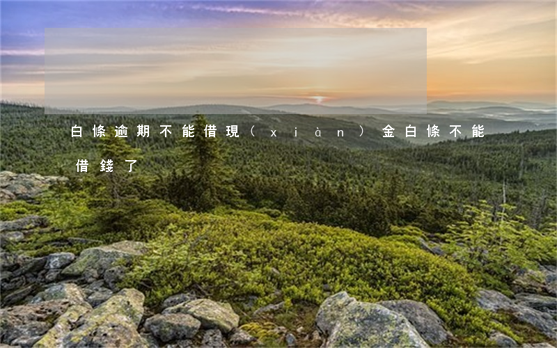 白條逾期不能借現(xiàn)金(白條不能借錢了)
