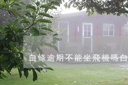 白條逾期不能坐飛機嗎 白條逾期會坐牢嗎
