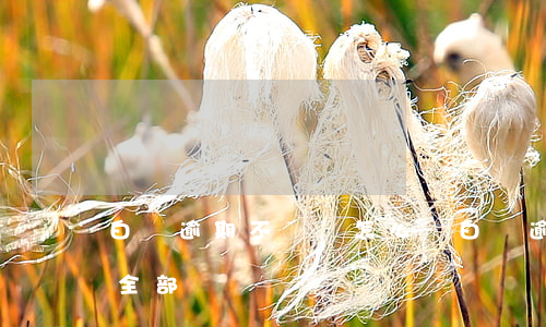白條逾期不還會怎么樣(白條逾期了為什么要全部償還)