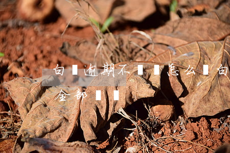 白條逾期不還會怎么辦(白條逾期了為什么要全部償還)
