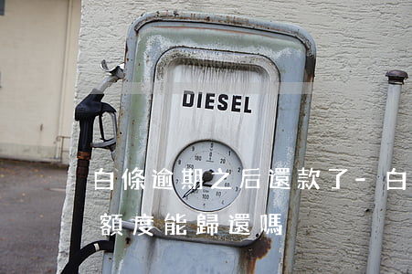白條逾期之后還款了-白條逾期以后還款后額度能歸還嗎