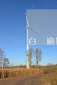 白條逾期了16天