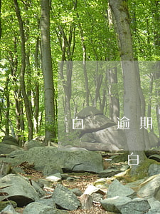 白條逾期了20天會(huì)繳清總欠款嗎-白條逾期了20天會(huì)繳清總欠款嗎怎么辦