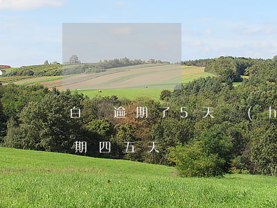 白條逾期了5天會(huì)怎么樣(白條逾期四五天)