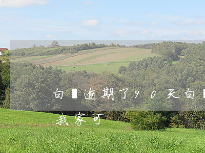 白條逾期了90天(白條逾期了90天了要來我家可)