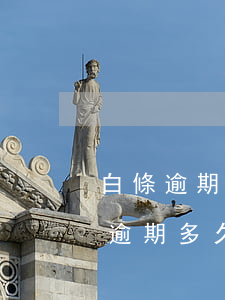 白條逾期了什么時候才能恢復(fù)（白條逾期多久可以恢復(fù)）