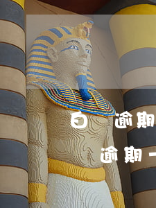 白條逾期了信用卡還能繼續(xù)用嗎(白條逾期一天還上后可以繼續(xù)使用嗎?)