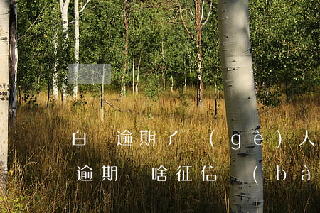 白條逾期了個(gè)人征信沒有記錄(白條逾期為啥征信報(bào)告沒有)