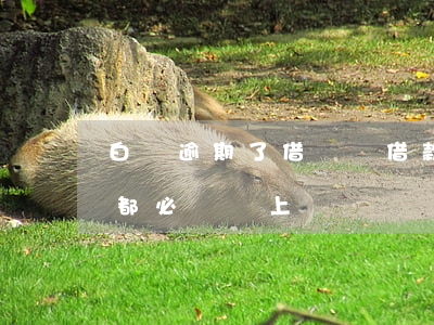 白條逾期了借唄還借款嗎(房貸前借唄跟白條都必須還上嗎)