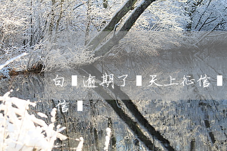 白條逾期了兩天上征信嗎（白條逾期還了上征信嗎）