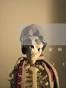 白條逾期了兩天第三天還了沒事吧（白條逾期了13000）
