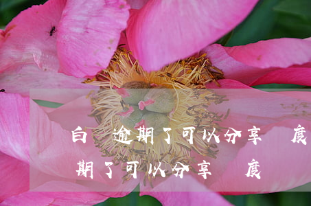 白條逾期了可以分享額度給別人嗎-白條逾期了可以分享額度給別人嗎安全嗎