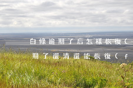 白條逾期了后怎樣恢復(fù)(金條白條逾期了還清還能恢復(fù)嗎)