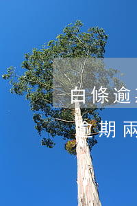 白條逾期了客服讓三點(diǎn)還(白條逾期兩天找客服有用嗎)