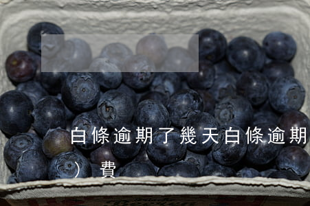 白條逾期了幾天（白條逾期幾天的手續(xù)費）