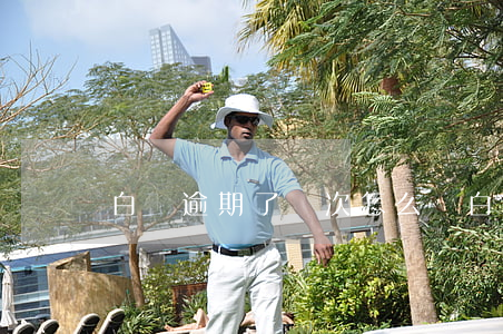 白條逾期了幾次怎么辦(白條逾期了幾次怎么辦)