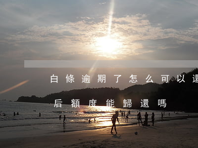 白條逾期了怎么可以還款(白條逾期以后還款后額度能歸還嗎)