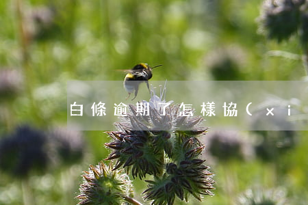 白條逾期了怎樣協(xié)商還款
